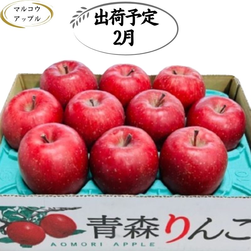 【ふるさと納税】【2月発送】特A 濃厚サンふじ約3kg 糖度13度以上【青森りんご・マルコウアップル】 　お届け：2026年2月1日～2026年2月28日