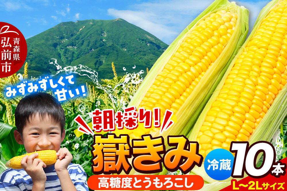 【26年7月～発送】とうもろこし 朝採り 嶽きみ（だけきみ） 10本 L～2Lサイズ 冷蔵 青森県 弘前市 [とうもろこし 朝採り 嶽きみ だけきみ 冷蔵 高糖度]