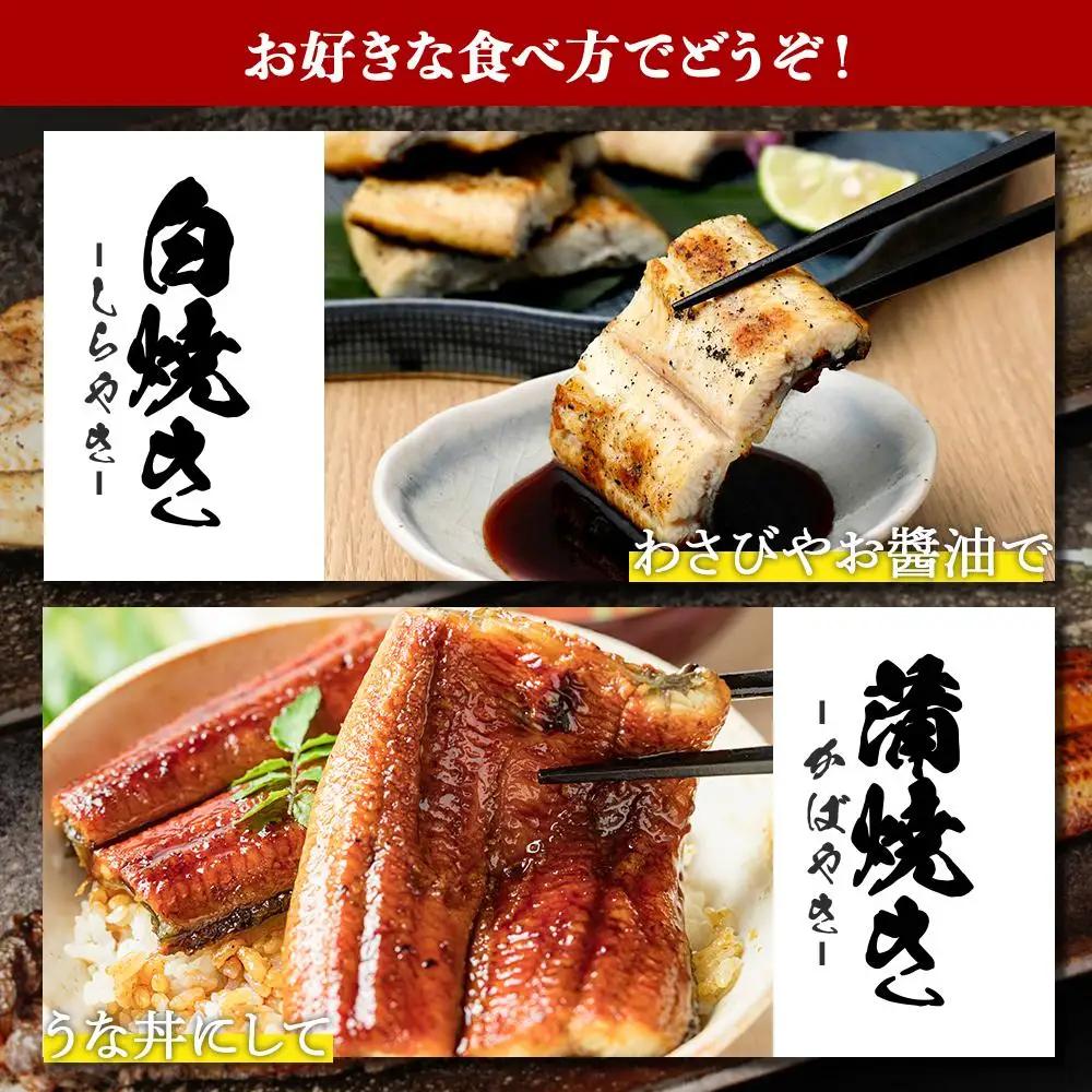 鹿児島県大隅産　千歳鰻の白焼5尾・蒲焼き5尾｜うなぎ うなぎ