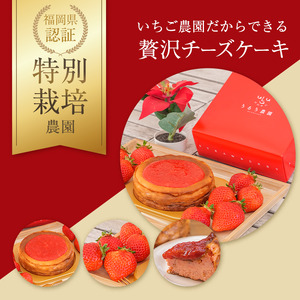 あまおうチーズケーキ 約380g×1_あまおうチーズケーキ 約 380g ケーキ ニュージーランド産 クリームチーズ 濃厚 チーズケーキ 半解凍 冷蔵解凍 レンジ 特別栽培 あまおう農家 久留米市産 