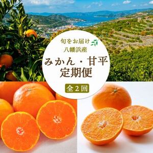 【発送月固定定期便】愛媛みかん 大玉8kg×甘平 訳あり3kg 定期便【G25-258】全2回【4071211】