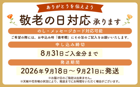【 敬老の日限定 】 敬老の日ギフト そのまま飾れる フラワーアレンジメント 生花 感謝メッセージカード付・越前和紙 小花一輪付【ギフト  シルバー 花瓶いらず 水替え無  花】 [e51-a011]