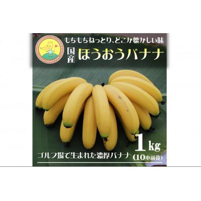 ふるさと納税 太田市 【2026年発送・ほうおうバナナ】もっちりねっとりな味わい!群馬県太田市産まれ貴重な国産バナナ1kg