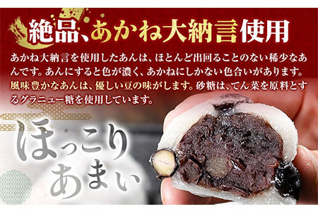 大福 塩豆大福 和菓子 豆の町から生まれた塩豆大福 本別町産 5個《3月上旬-3月下旬頃より順次出荷》北海道 本別町 送料無料 あんこ 餡 豆 だいふく 塩豆 菓子 お菓子 おやつ スイーツ お取り寄