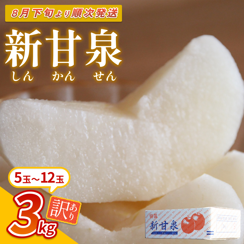 【先行予約】（訳あり）中野農園 梨 ”新甘泉” 3kg箱｜鳥取 岩美 梨 なし ナシ 赤梨 果物 フルーツ 常温 ※お届けは2026年8月下旬以降【41047】