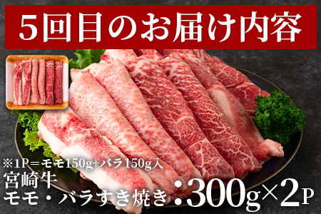 ＜【定期便6か月】宮崎牛を存分に味わうセット 総量3.0kg＞柔らかくきめ細かい肉質と適度な霜降りの入った美味しい牛肉をご堪能下さい！【MI231-nh】【日本ハムマーケティング株式会社】