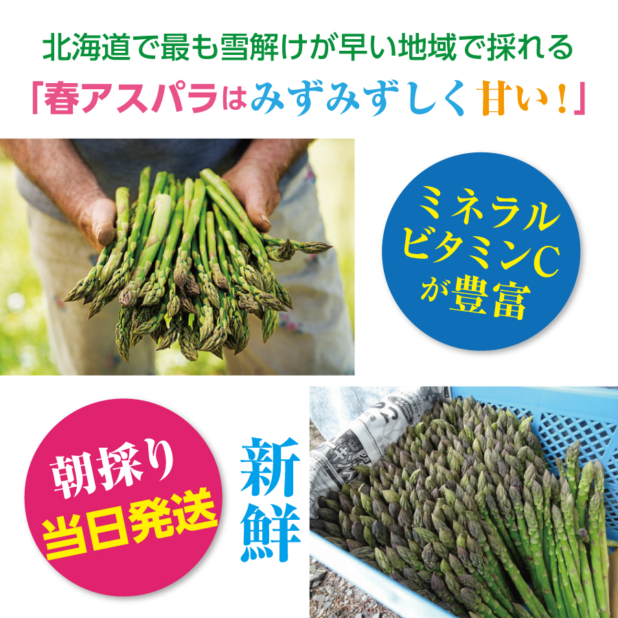 【2026年夏発送】寅福菜園の朝採り夏アスパラ　S（1.6kg）　グリーンアスパラ　朝採れ　農家直送　新鮮　甘い　夏野菜　旬野菜　特産品　北海道産