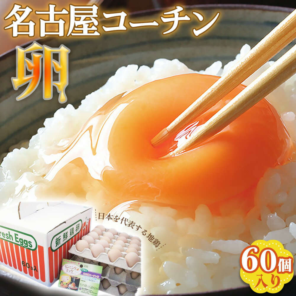 【ふるさと納税】日本を代表する地鶏　名古屋コーチン卵　60個入 ／ ブランドたまご ブランド卵 ブランド玉子 卵 たまご タマゴ 玉子 鶏卵 産みたて 新鮮 こだわり 上質 濃厚 卵焼き 卵かけご飯 国産 阿久比町産 特産 送料無料 愛知県 No.228