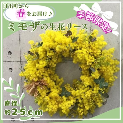 
                  ＜2027年3月より順次発送予定＞日出町から春をお届け♪ふわふわのミモザをたっぷり使ったリース【1742524】
                