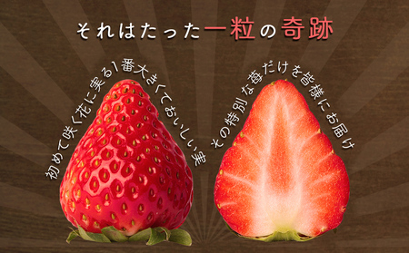 【朝摘みをお届け！】【2025年12月中旬頃より順次発送】 フルーツガーデンやまがたのいちご「うずしおベリー」特大粒16個 【数量限定】 いちご フルーツ 果物 苺 イチゴ 旬の果物 季節の果物 鳴門