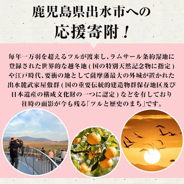i902 ≪返礼品なし・1,000円≫鹿児島県出水市への寄附 返礼品なし 寄附のみ【出水市役所】