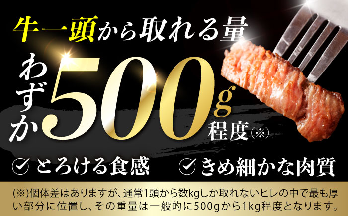 【12回定期便】 【唯一無二の贅沢！】長崎和牛 シャトーブリアン 300g(150g×2) / ヒレ ひれ ヒレステーキ ステーキ すてーき しゃとーぶりあん / 諫早市 / 野中精肉店 [AHCW1