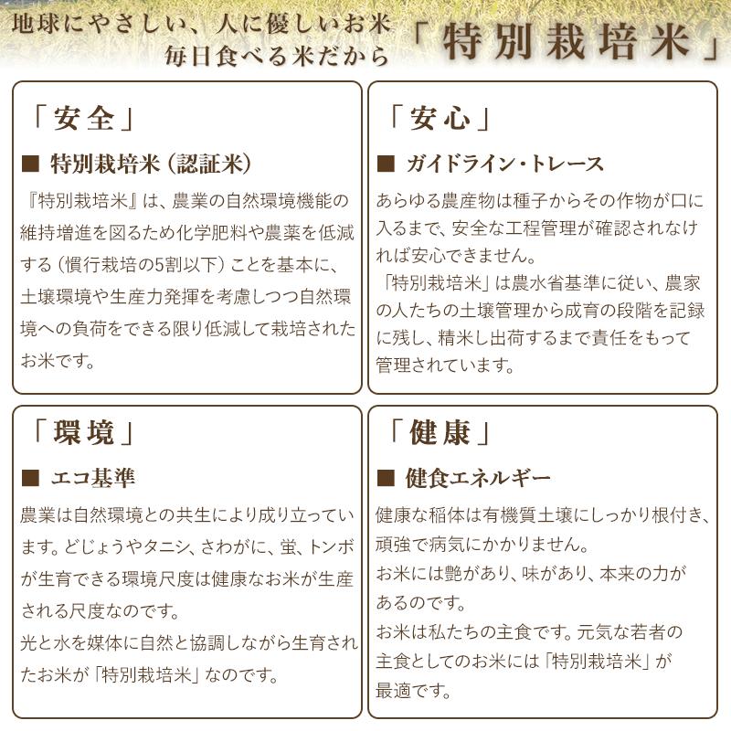 【令和8年産】 米の里の特別栽培米 つや姫 精米 5kg　山形県鶴岡市産 | 白米 特栽 ブランド米 庄内 2026年産　K-845 5kg