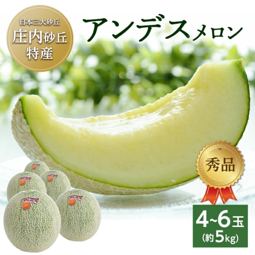 SA2581　庄内砂丘の旬夏　「秀品 アンデスメロン」　約5kg(青肉/4～6玉入)