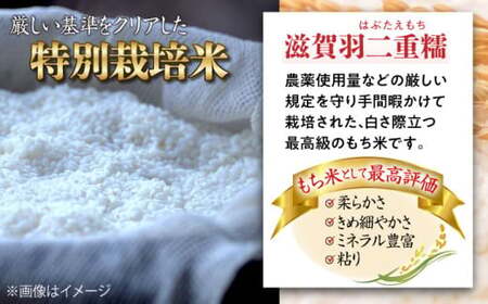 滋賀県産【特別栽培米】羽二重糯（はぶたえもち）3kg　滋賀県長浜市/株式会社ＴＰＦ[AQCQ007] もち米 もち米 もち米 もち米 もち米