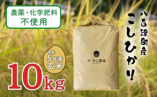 
433. 【令和5年産】農薬・化学肥料不使用　オータニ農業の『コシヒカリ』玄米10kg
