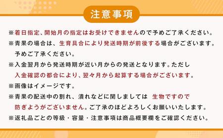 【8・9・12月 全3回 定期便 】紀州和歌山産旬のフルーツセット（種なし巨峰・シャインマスカット・みかん）【UT122】