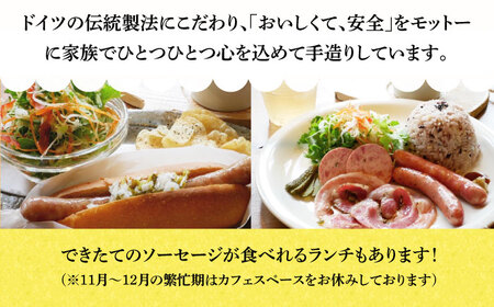 ソーセージ 【35本×6回定期便】生ソーセージ詰め合せ7本入り×5袋 ※無塩せき（亜硝酸ナトリウム不使用）[EAM042]  国産ソーセージ ソーセージウインナー 冷凍 詰合せ 定期便