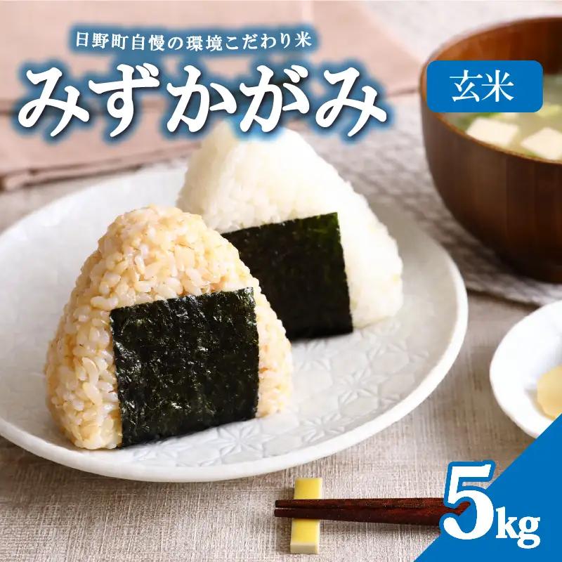 【令和8年産 新米】みずかがみ 5kg 玄米 ミズカガミ お米 