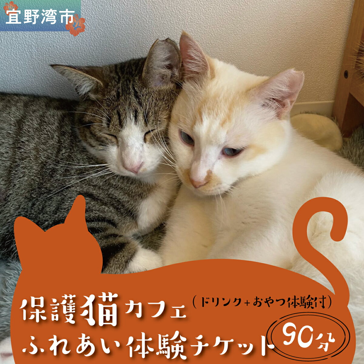 【ふるさと納税】沖縄保護猫カフェふれあい体験120分ペアチケット(ドリンク+おやつ体験付) | 宜野湾市 ねこ 応援 | 保護猫とつながるカフェ＆ショップ Nouvelle Vague（ヌーベルバーグ）| 送料無料