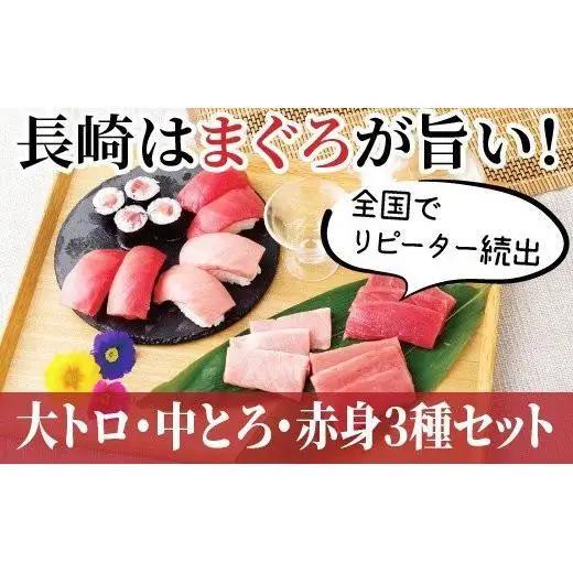 マグロ 【 本マグロ 】 刺身 600g以上 鮪 タレ付き A121p