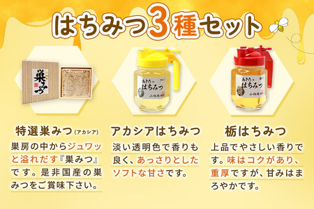 小松養蜂場 はちみつ 秋田県産 100% 巣みつ(アカシア)  +アカシア・栃はちみつ各 250g セット
