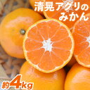 【ふるさと納税】みかん 柑橘 『清晃アグリ』 みかん 約4kg(2S-2Lサイズ) 【日付指定不可】 予約受付中 フルーツ 秋 旬★熊本 県 玉名 郡 玉東 町 健康 土 ジューシー おいしい みかん ！《11月中旬-12月末頃出荷(土日祝除く)》 美味しい 甘い