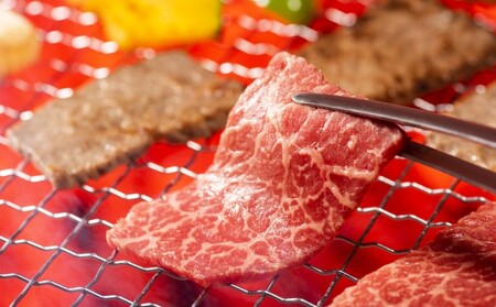 博多和牛 訳あり ロース カルビ 焼肉 切り落とし 博多和牛【500g】【定期便6回】