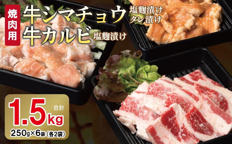 010B1667 牛シマチョウ（タレ漬け+塩麹）＆塩麹漬け牛カルビの焼肉セット  合計1.5Kg（1袋250ｇ×各2袋） 【味付け 小分け 焼くだけ 簡単調理 BBQ 牛肉 ホルモン 250g×6袋】