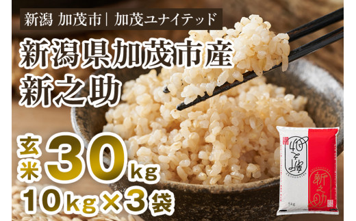 【令和7年産・令和8年産新米先行予約可】新潟県産 新之助 玄米 30kg（10kg×3袋）《令和7年産：順次出荷・令和8年産新米：2026年10月から出荷》 新潟県産新之助 新潟産新之助 加茂市産新之助 新之助 しんのすけ 新潟 ブランド米 新之助 加茂市 加茂ユナイテッド