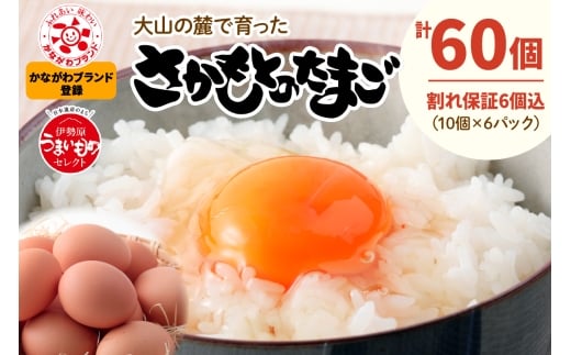 《2026年4月中旬より順次発送》坂本養鶏 大山の麓で育った さかもとのたまご 60個 (54個＋割れ保証6個)｜伊勢原市 赤玉卵 玉子 鶏卵 生卵 国産 TKG タマゴ 新鮮 大山 鶏 ギフト 安心 安全 親子丼 卵焼き 目玉焼き お菓子 [0791]