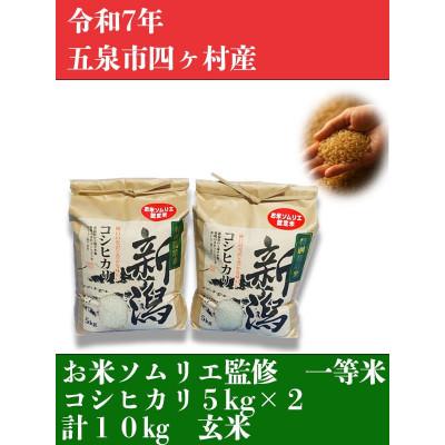 ふるさと納税 五泉市 令和7年産新潟県五泉市産　コシヒカリ　10kg(5kg×2袋)玄米