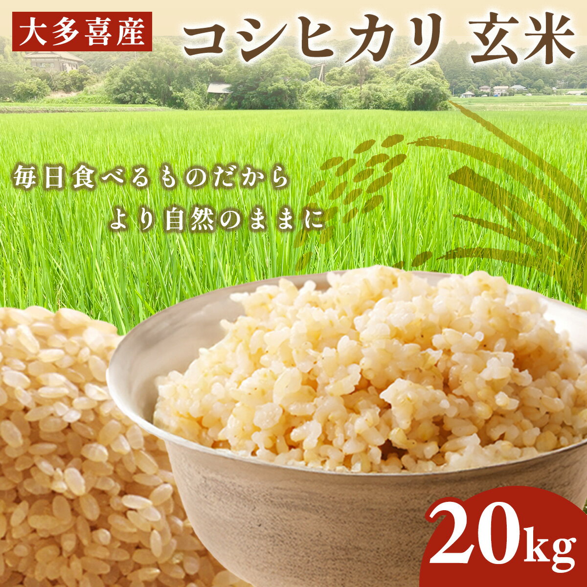 【ふるさと納税】令和7年産 大多喜産コシヒカリ　玄米20kg W04701 / 令和7年産 米 お米 米20kg お米20kg 千葉県産 大多喜町産 こしひかり コシヒカリ 玄米