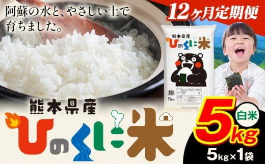 【12ヶ月定期便】 白米 ひのくに米 5kg 《お申込み月の翌月から出荷開始》 食品 米 こめ コメ 熊本県産 ふるさと納税 お米 おこめ 熊本