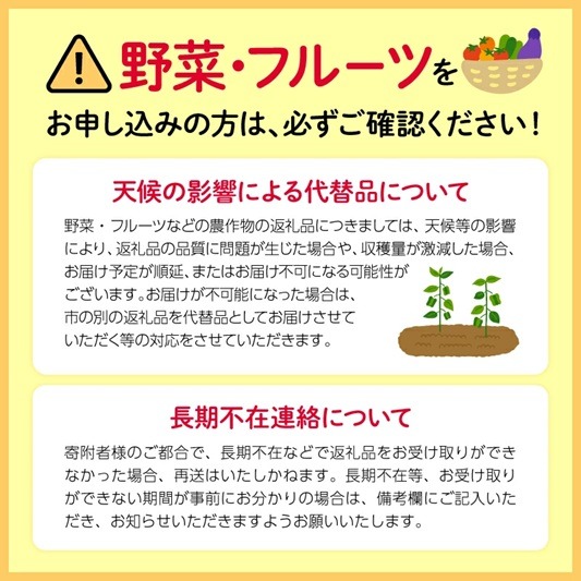 【先行予約 : 2025年8月下旬～順次発送予定】シャインマスカット 約1kg 2房～3房 産地直送 フルーツ 果物 ぶどう 国産 静岡県 藤枝市