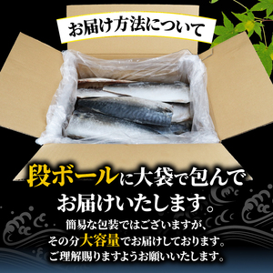 塩さば フィーレ 3kg 訳あり さば さば さば さば さば