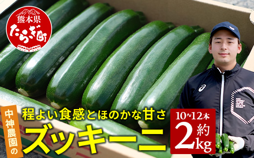 【産地直送】中神農園の ズッキーニ 約2kg (10〜12本) 期間限定：11月上旬〜5月下旬発送 野菜 夏 やさい 煮る 炒める 生食 ミネラル ビタミンC ずっきーに 新鮮 甘み 酸味 用途多様 国産 九州 熊本県 多良木町 送料無料 071-0506