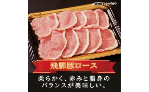 飛騨牛 ＆ 飛騨豚 焼肉 セット 合計 1kg | 肉 国産 牛 豚 29-950 ファミリーストアさとう CY030VC13