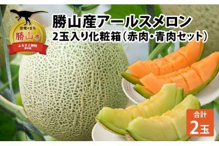 勝山産アールスメロン 2個入り（赤肉・青肉セット） ※2026年7月下旬以降順次発送 [A-060007]
