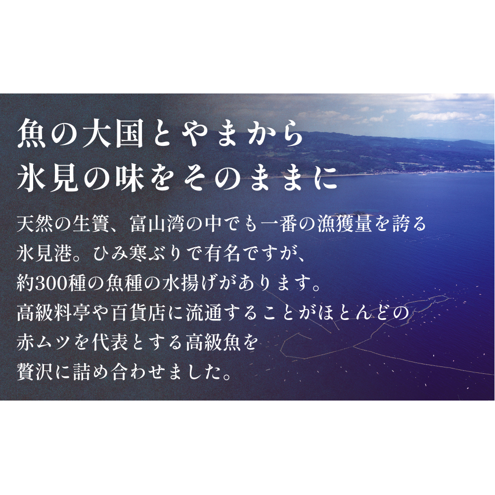 氷見港朝獲れ高級魚！丸っと贅沢直送便！　船上氷上締め　神経〆処理 富山 氷見 直送 詰め合わせ 鮮魚ボックス
_イメージ2