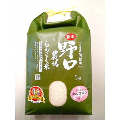 ふるさと納税 蘭越町 令和7年産　らんこし米 野口農場のゆめぴりか 5kg