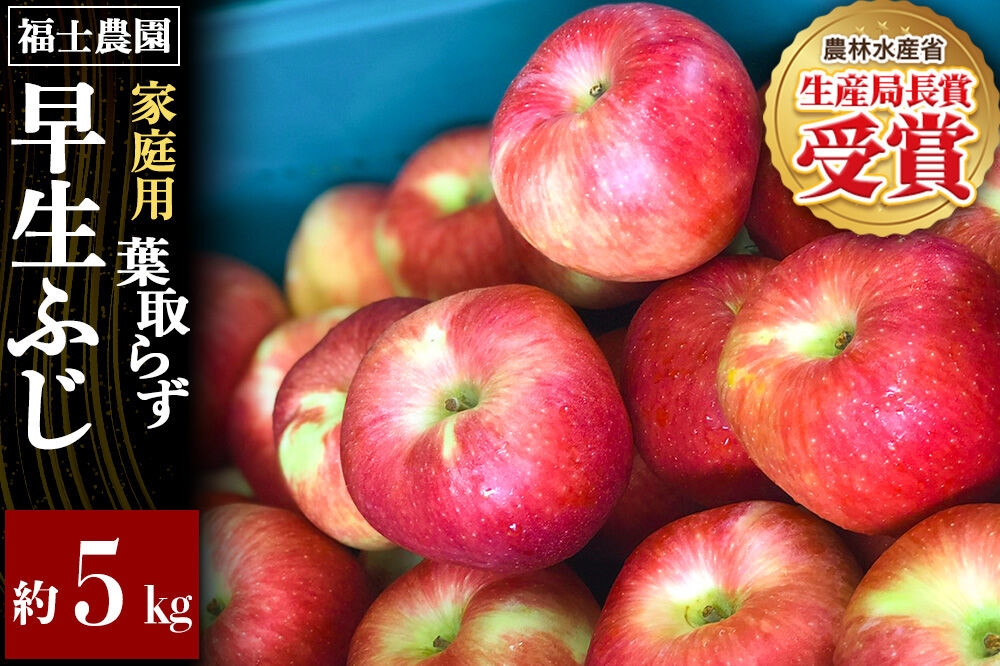 
                  【26年10月発送】りんご 葉とらず 早生ふじ【家庭用】約5kg 青森県 弘前市 [青森県産 産地直送 アップル おいしい 果実 果物 赤色 美味]
                