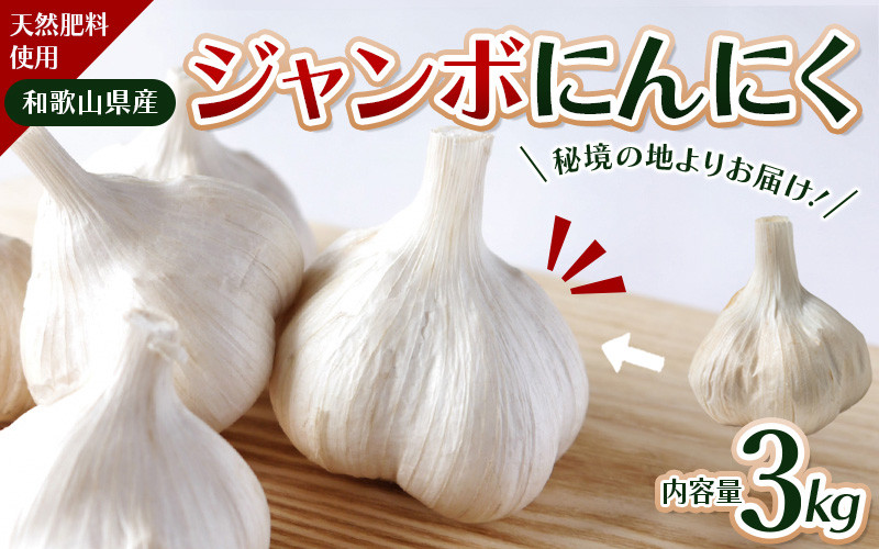 
            令和７年度産 秘境の地からお届けする あゆみファームのご家庭用ジャンボにんにく 3kg【7月下旬から順次発送】/ にんにく ニンニク ジャンボにんにく 予約受付 ガーリック 和歌山【aym015】
          