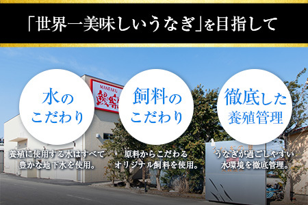 ◆宮崎県産ハーブうなぎ蒲焼 切身20枚(計1kg)