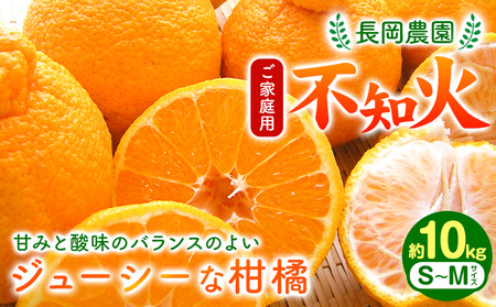 【家庭用】不知火 ( デコポン )と同品種 約 10kg 長岡農園 《2月中旬-4月上旬頃出荷》 和歌山県 日高川町 柑橘 不知火 でこ でこポン デコみかん 直送 大玉 10kg ｜不知火 デコポン と同品種 和歌山 デコポン 和歌山 不知火 しらぬい デコポン 日高川町 デコポン 先行予約 2025年出荷 デコポン st-p