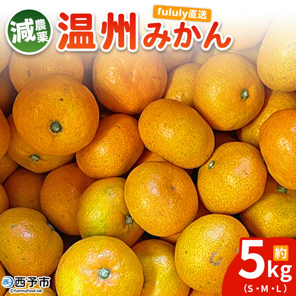 【ふるさと納税】＜fululy直送 減農薬温州みかん 約5kg＞ サイズ混合 果物 フルーツ 蜜柑 温州ミカン うんしゅうみかん ウンシュウミカン 減農薬 家庭用 柑橘 合同会社fululy 直送 愛媛県 西予市【常温】『2025年11月上旬～12月中旬迄に順次出荷』