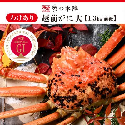 ふるさと納税 越前町 【わけあり】冬の日本海の味　浜茹で【越前がに　大　1.3kg前後】11月発送