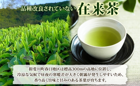 完熟苺の和紅茶 ティーバッグ 2g×10個入り 2袋 セット いちご 紅茶 和紅茶 お茶 在来茶 ストロベリーティー フレーバーティー ティー TEA プレゼント 贈り物 送料無料 傳六茶園 岐阜県 