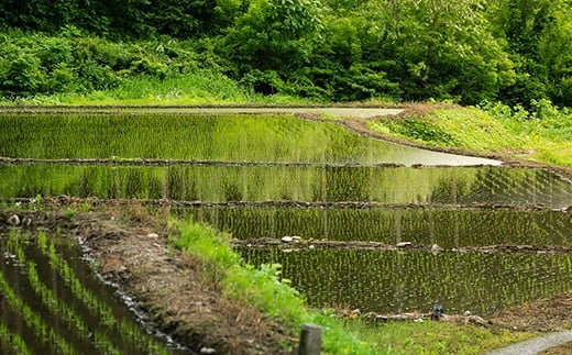 やまがた棚田20選にも選ばれている「高橋の棚田」