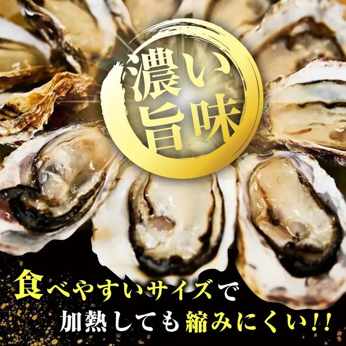 生牡蠣むき身400g・開殻6個 牡蠣[XBP014]